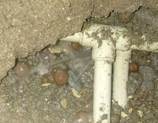 德州市卫生间测漏