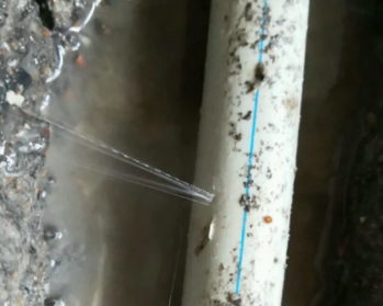 德州市卫生间测漏水多少钱
