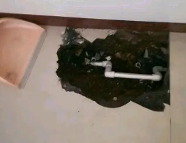 德州市卫生间测漏水多少钱